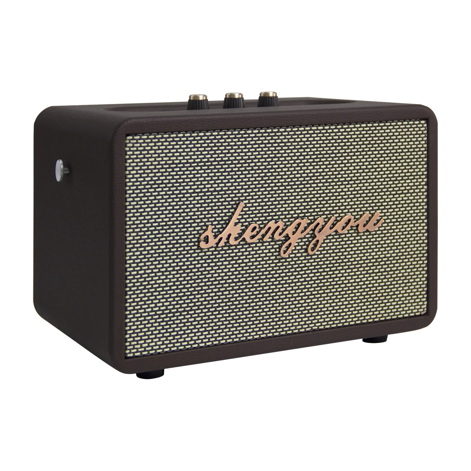 Портативная акустическая система SHENGYOU M5 Pro, вид товара